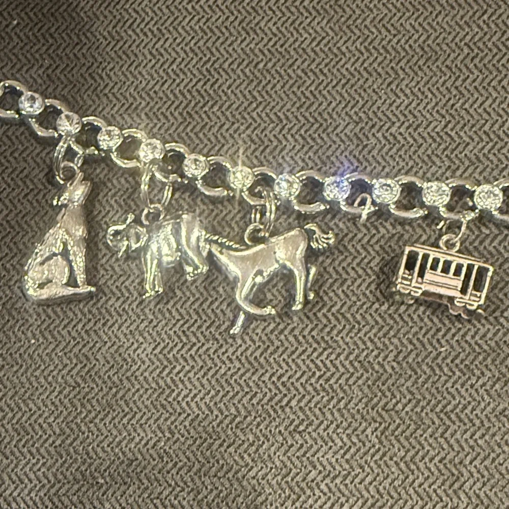 Texas Sterling Silver Charm Bracelet